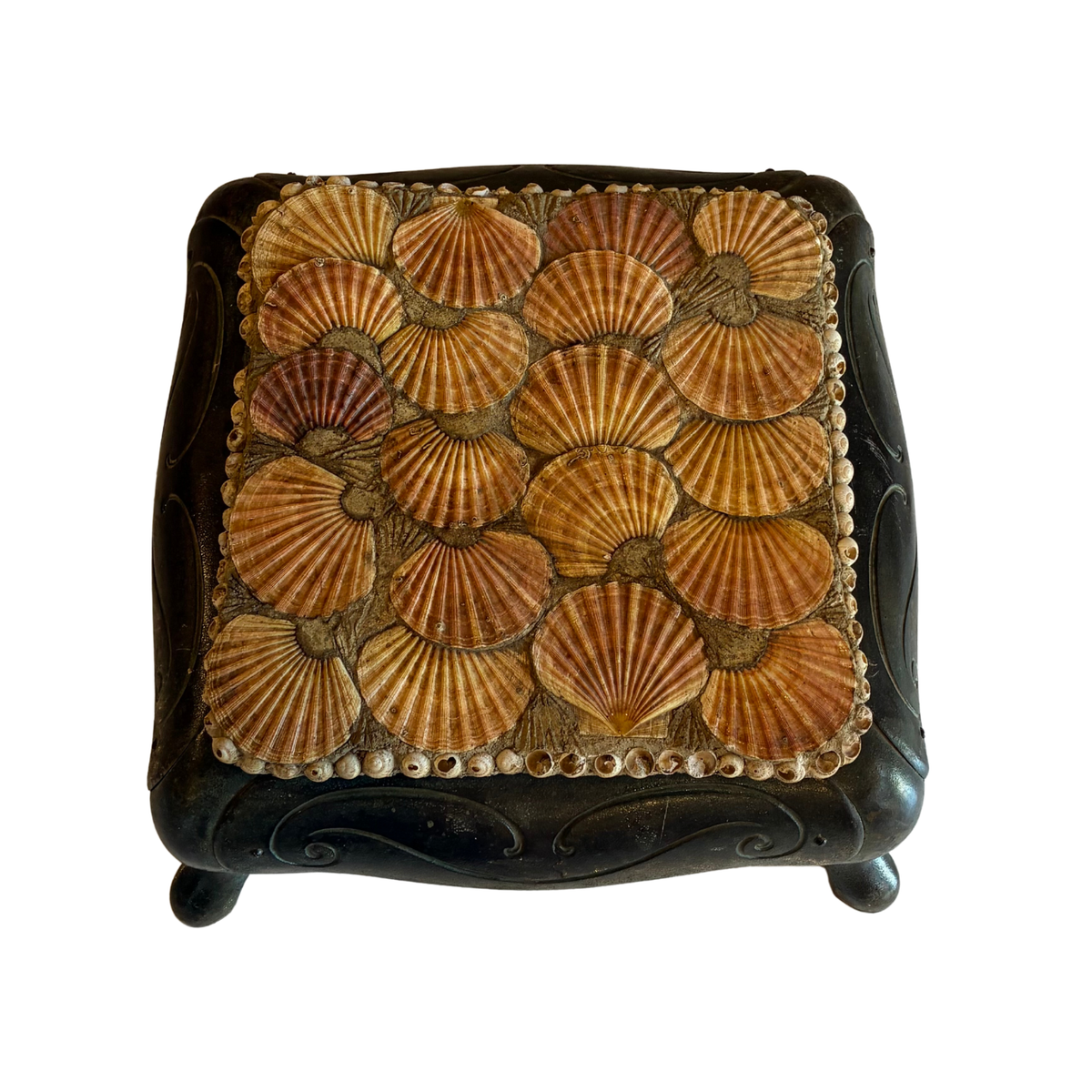 1960s Vintage Low Shell Table with Brass Base