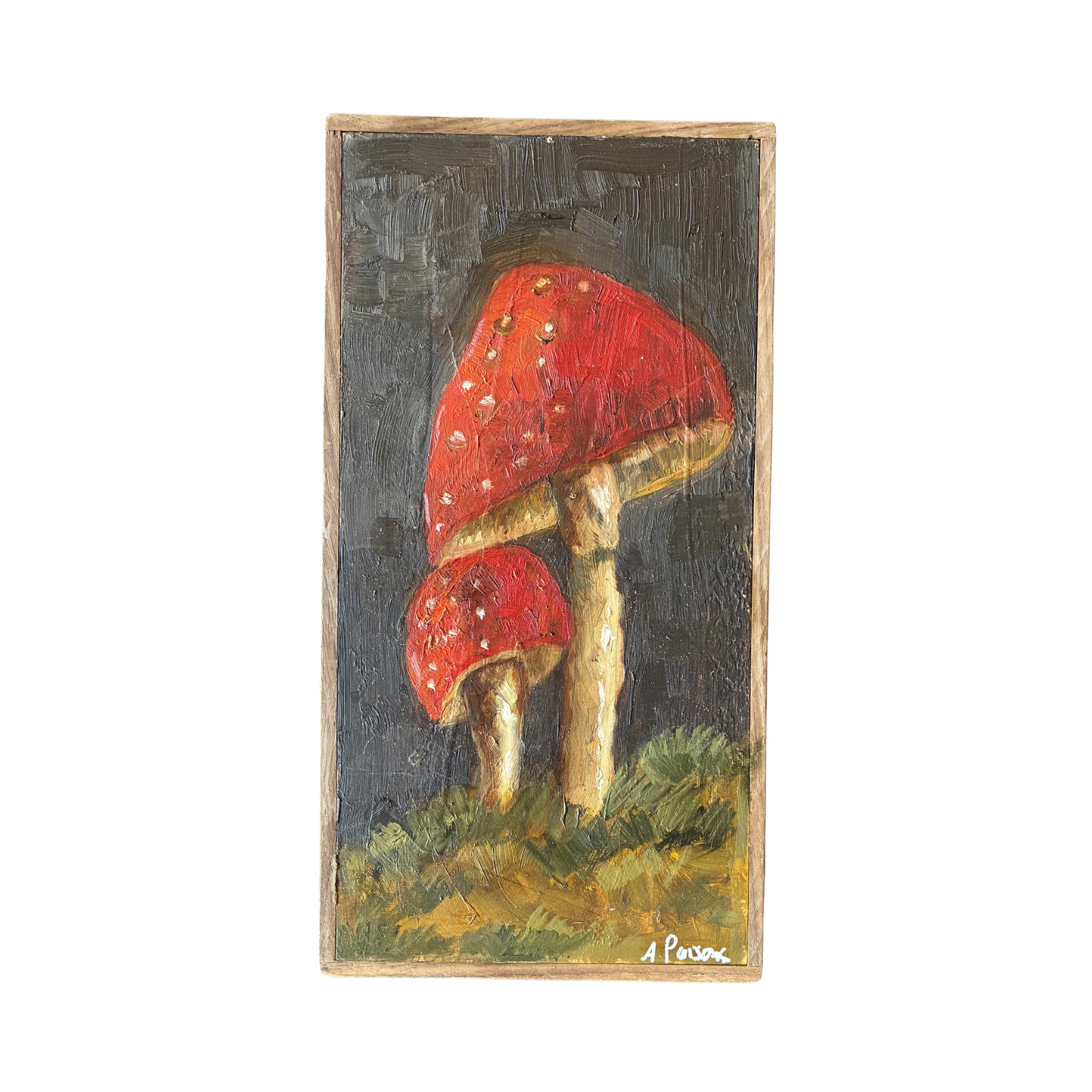 Alison Parsons, Two Mushrooms, 6.5” x 12.5”