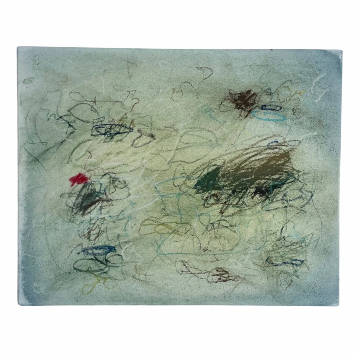 Evann Rose, 20” x 16”