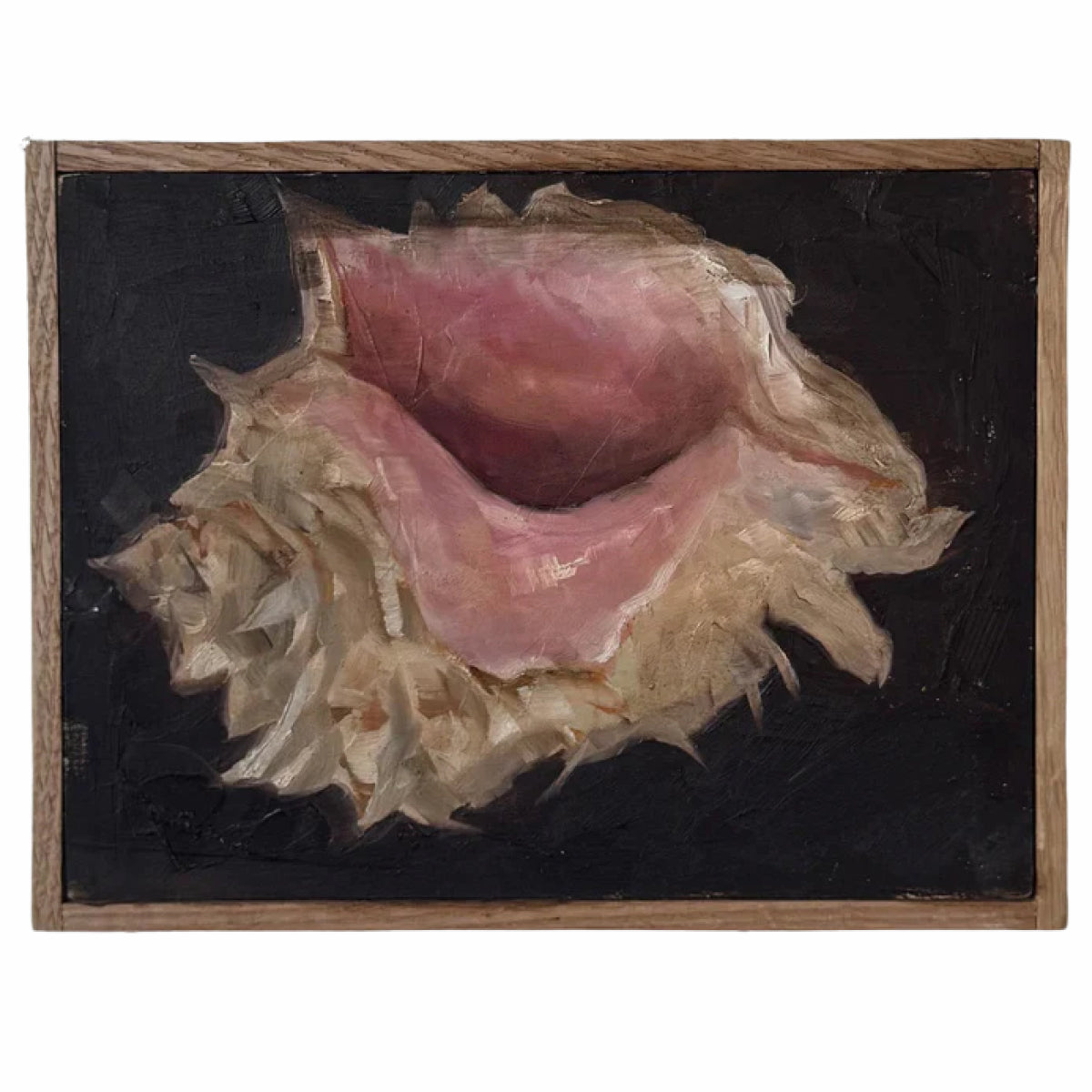 Alison Parsons, Shell 6.5” x 8.5” (1)