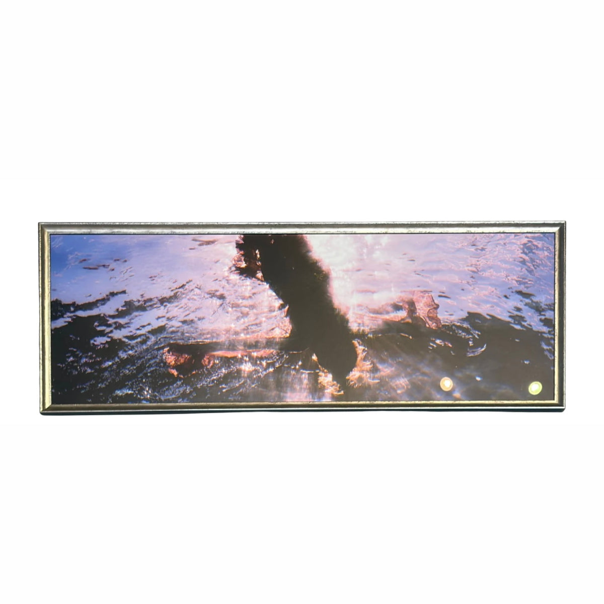 Lady Underwater Framed Art