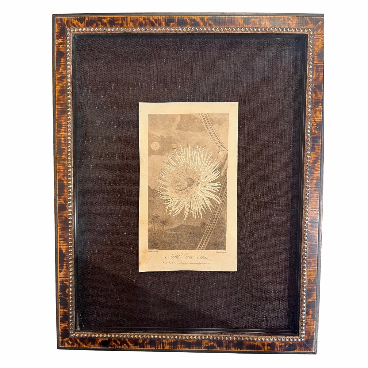 Framed Vintage Botanical