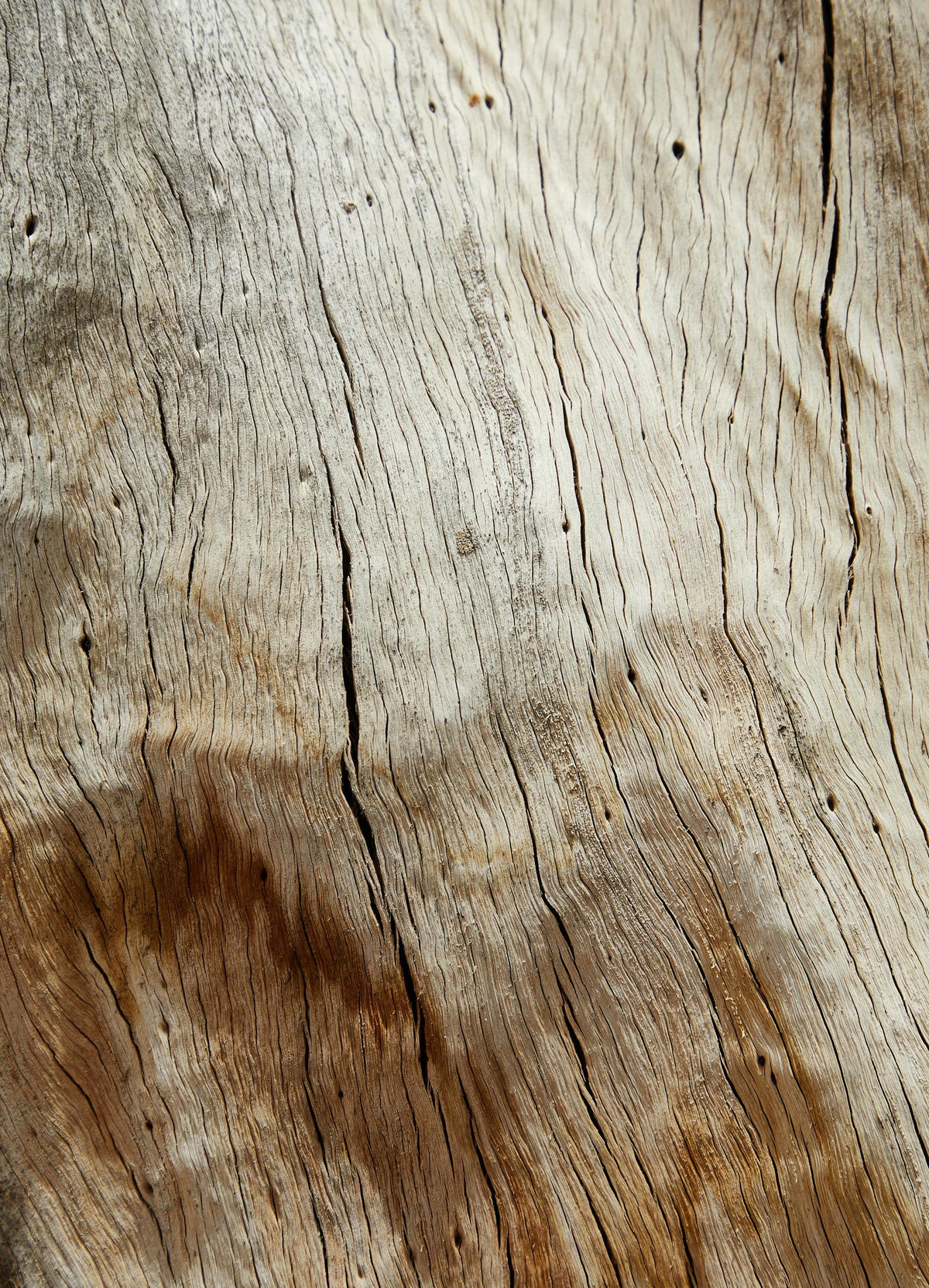 Guaiacwood Candle