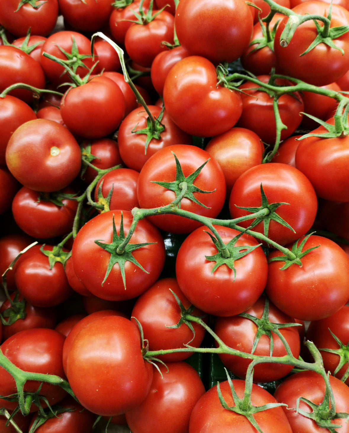 Tomato Leaf Room Spray