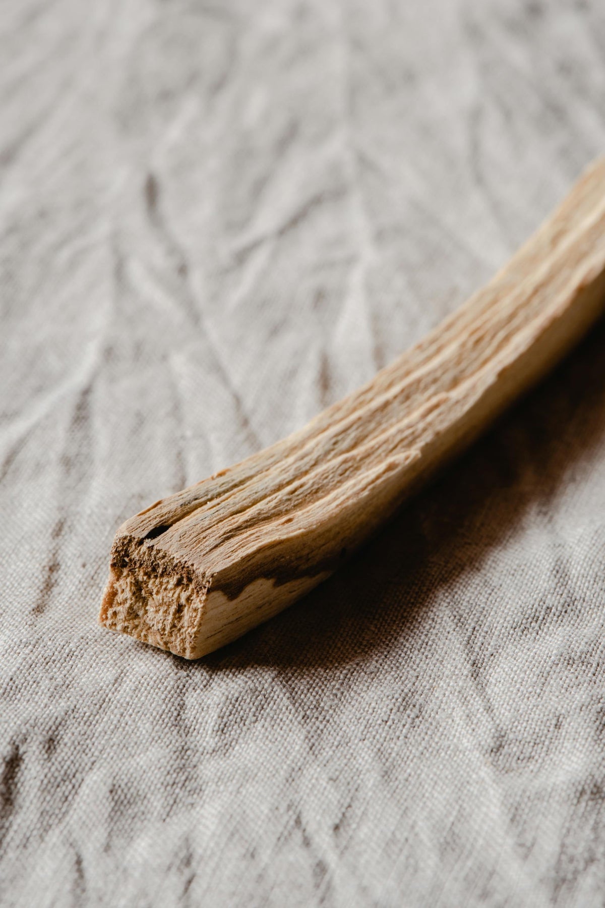 Palo Santo Candle