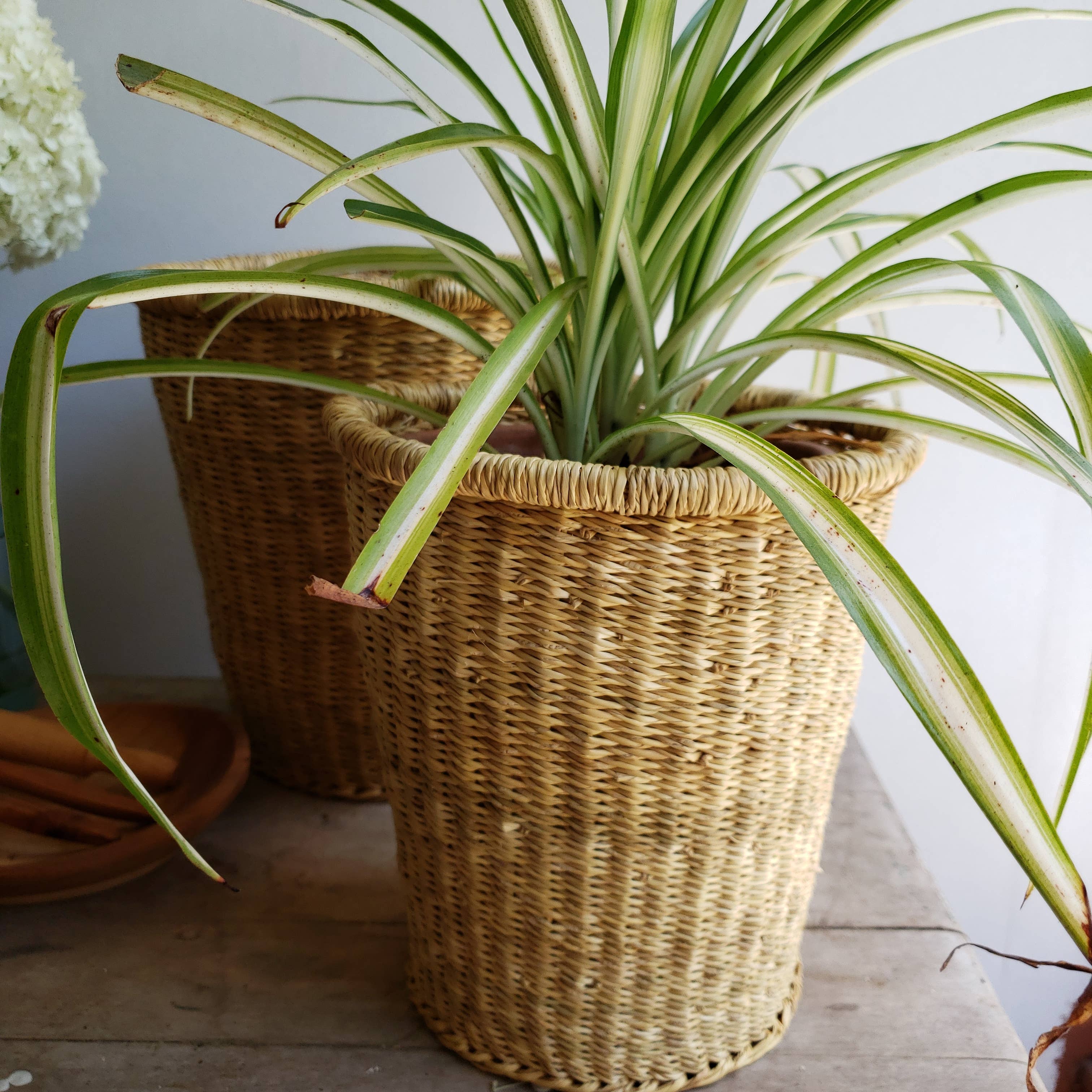 Small Nesting Canister