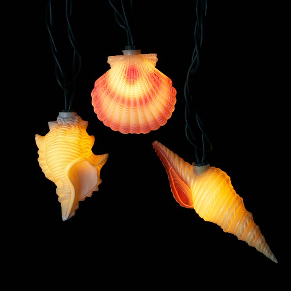 10/L CONCH & SHELLS LIGHT SET