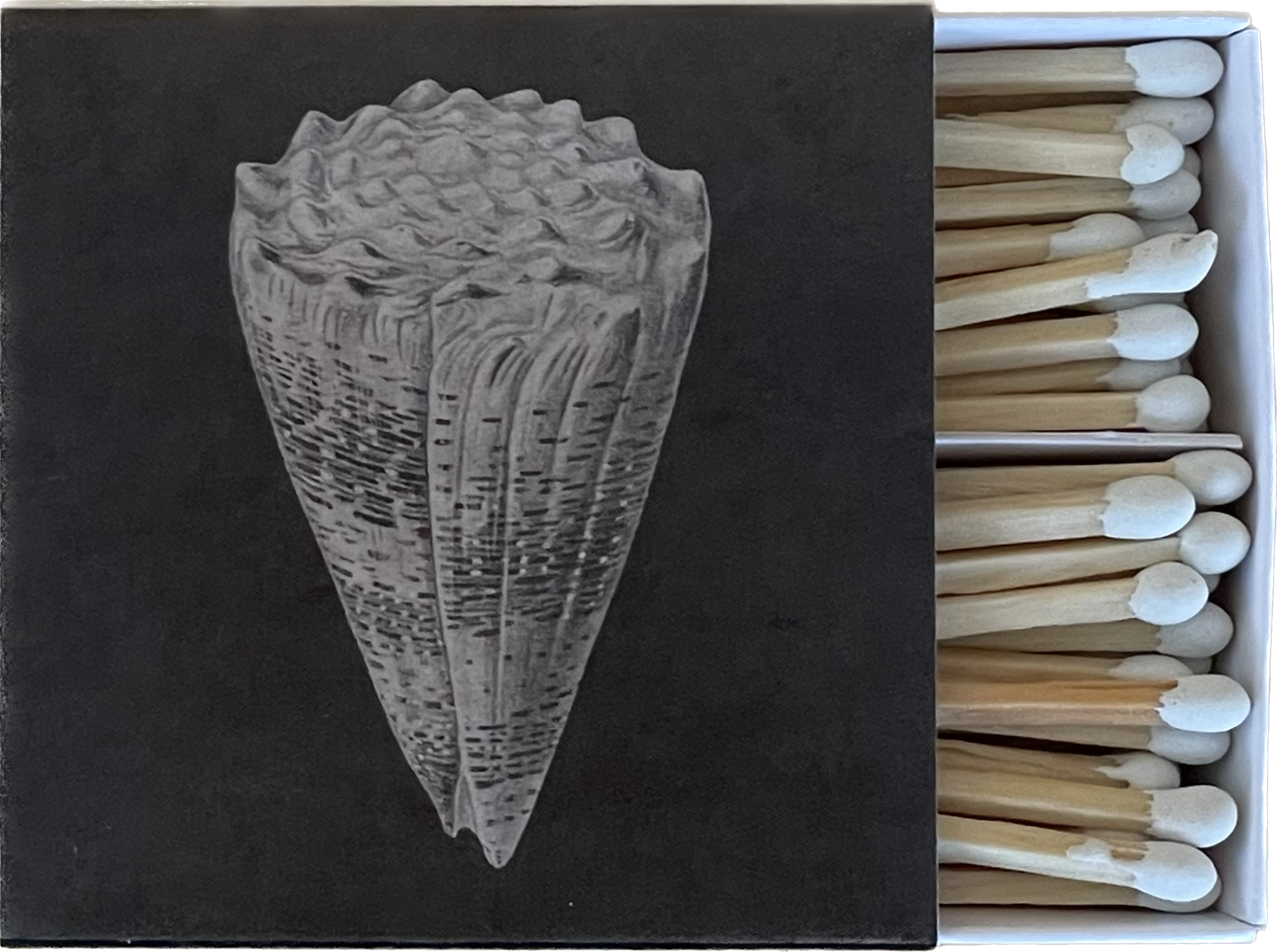 CONE