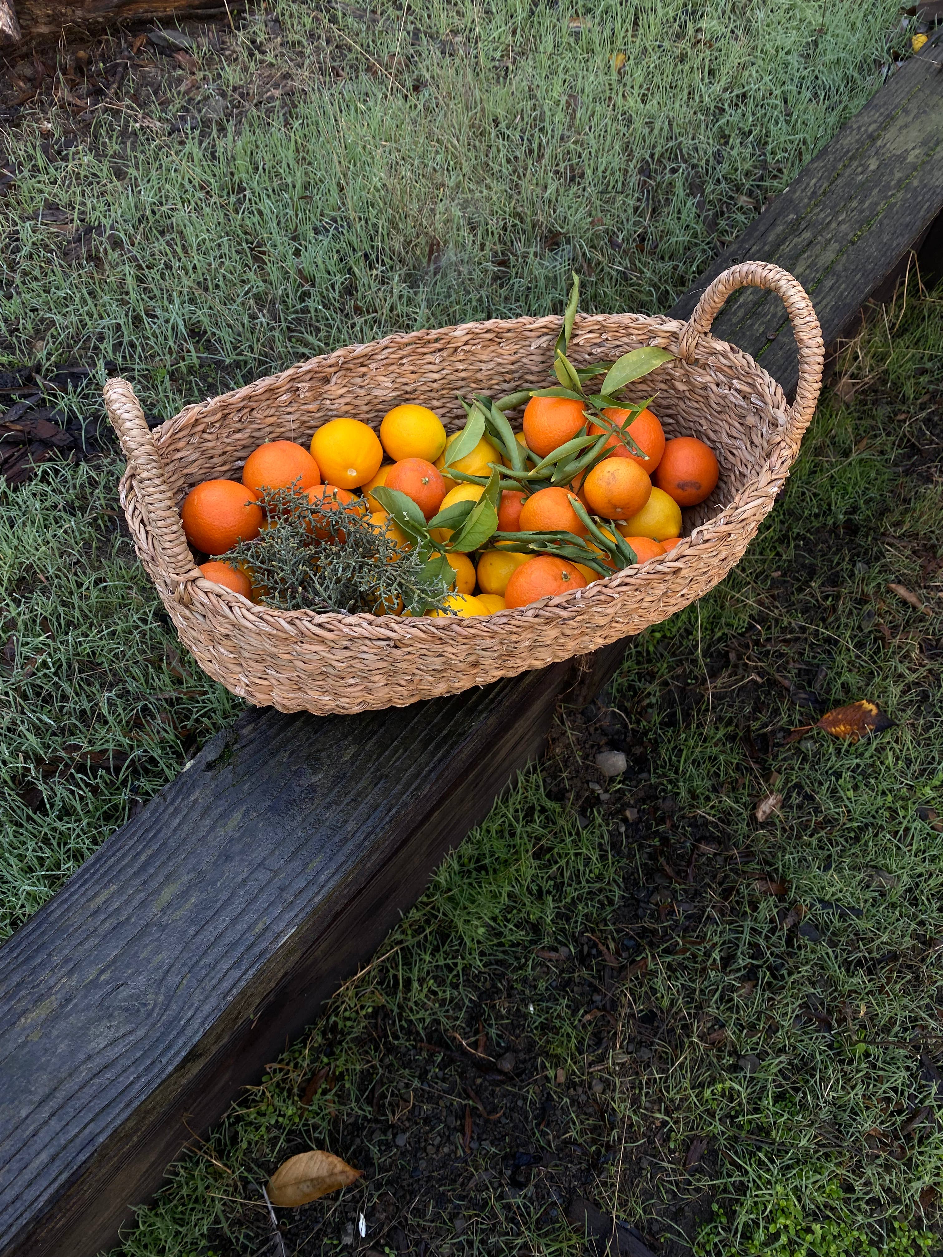 Oval Tray Basket, harvest: Medium