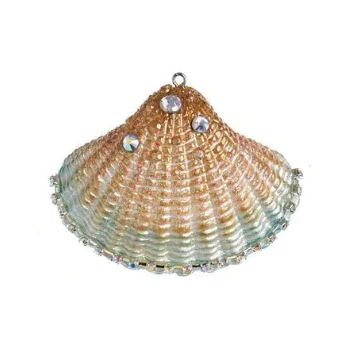 Seashell Ornament