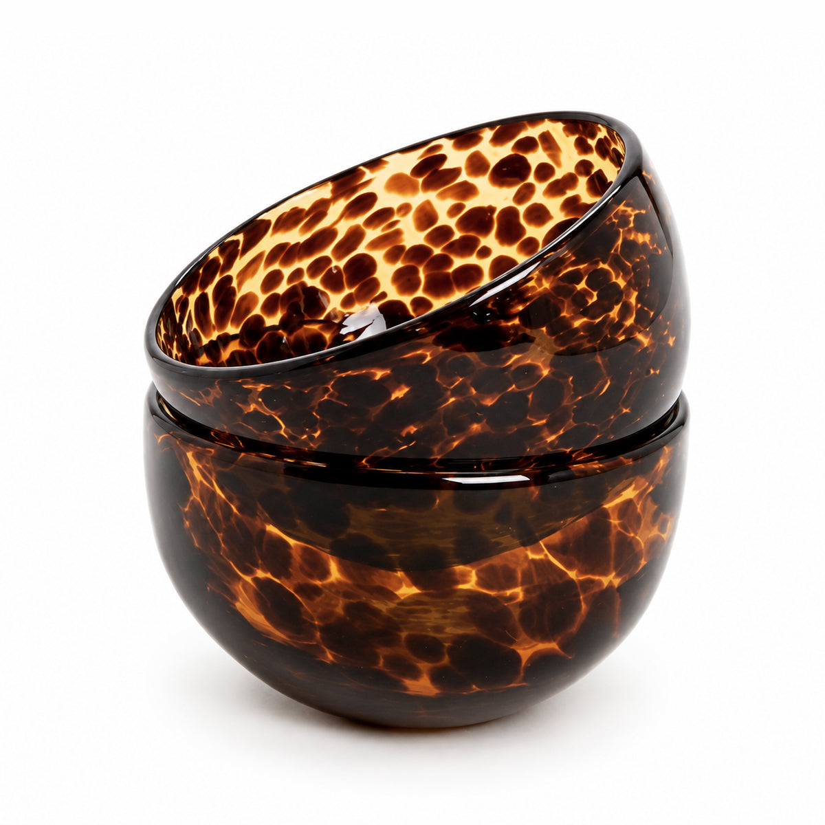 Tortoise Everything Bowl