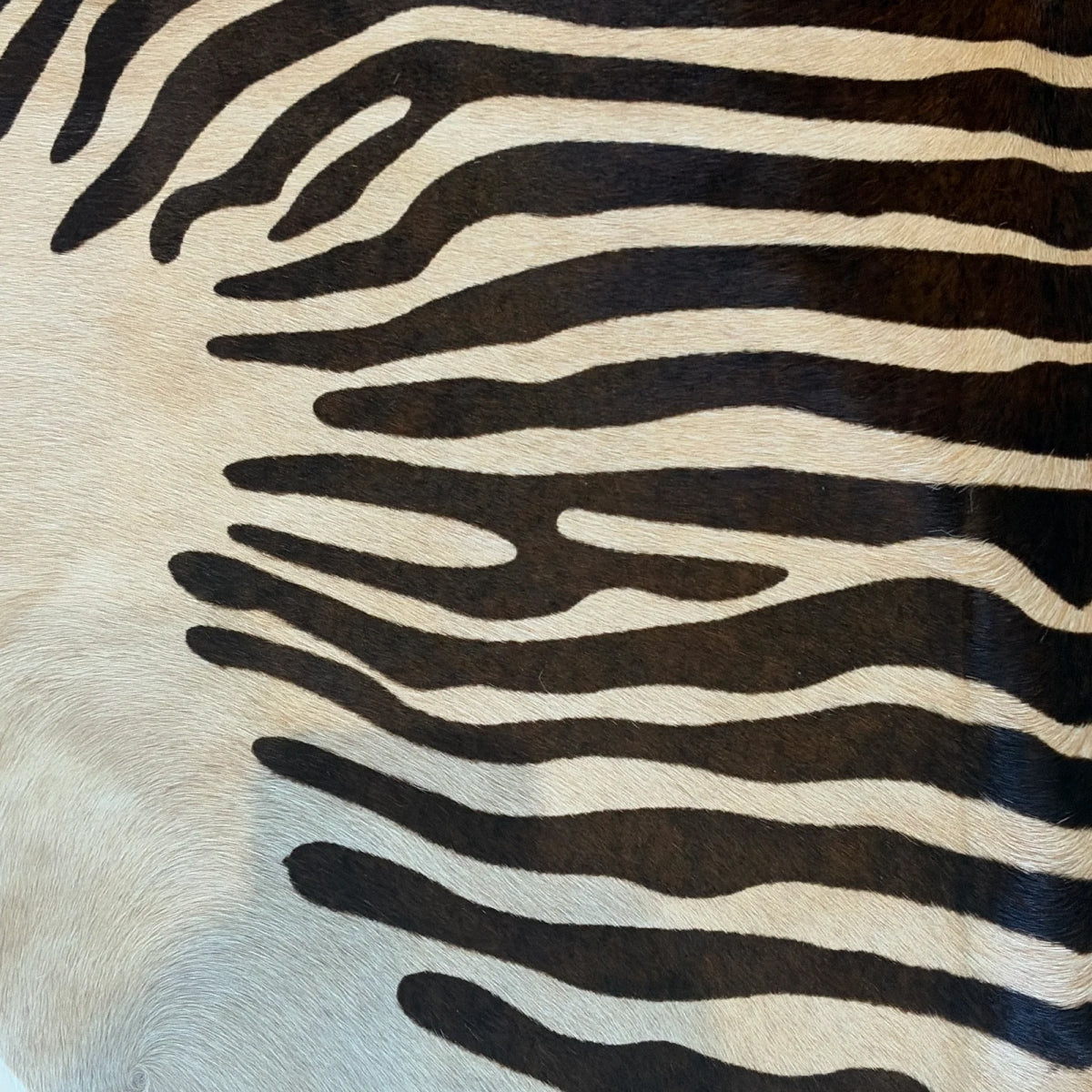 Zebra Skin Rug
