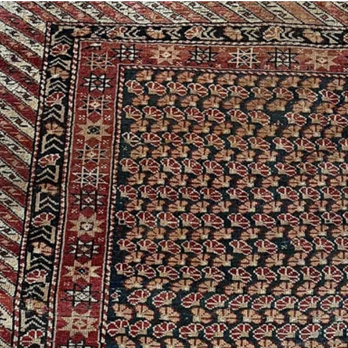 Shiryan Rug 3.3x5.3