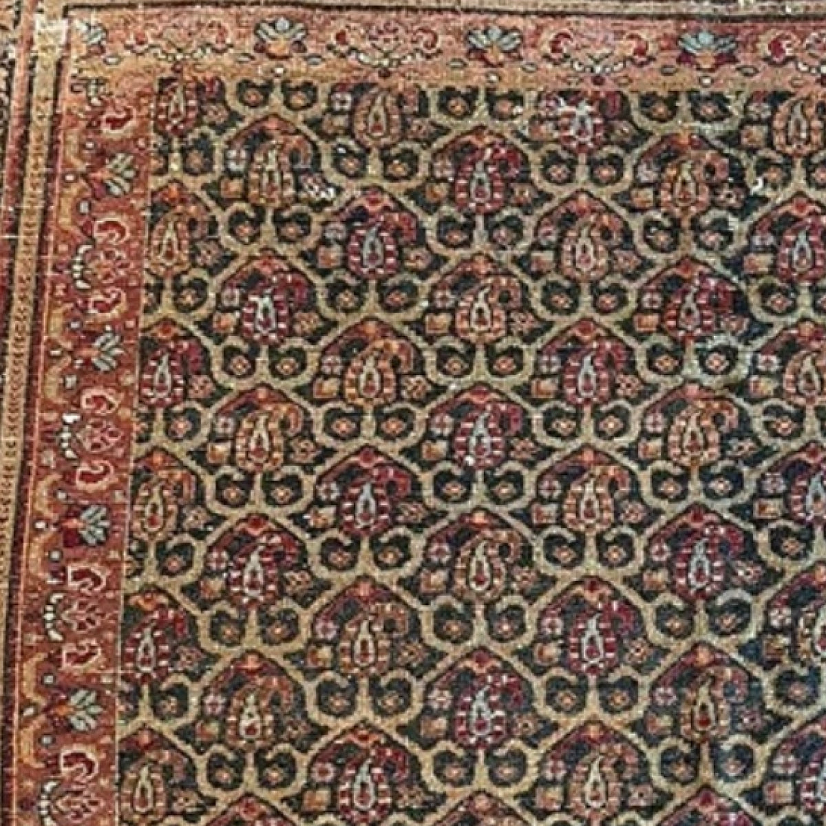 Romanian Rug 3.6x5.6