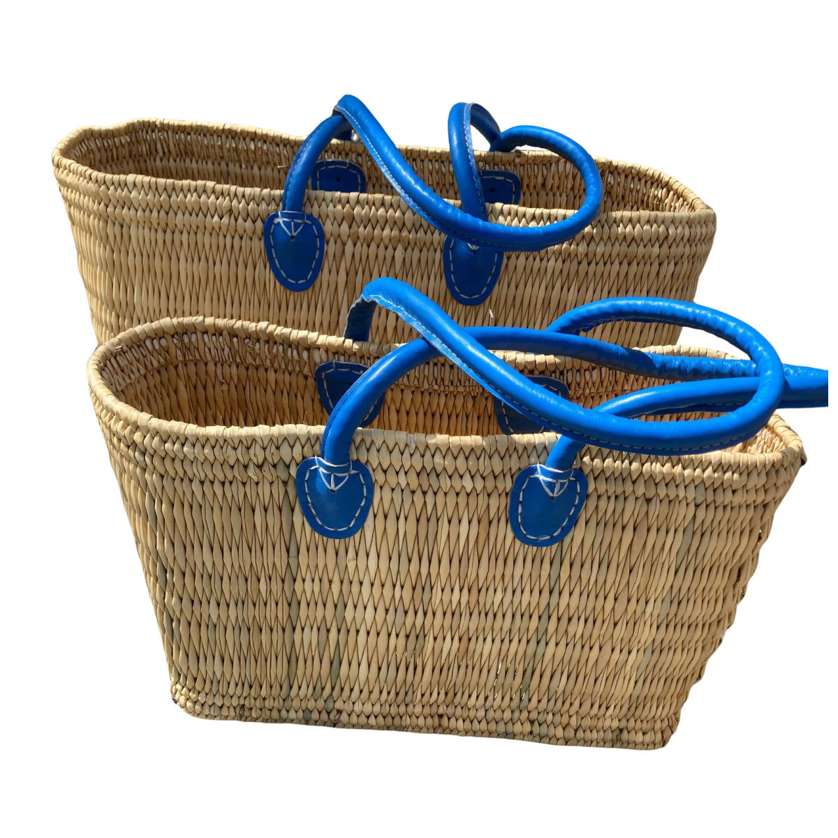 Water Reed with Light Blue Handles: Large
