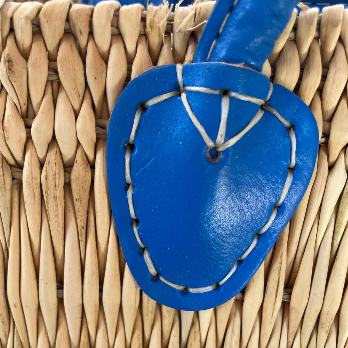 Water Reed with Light Blue Handles: Large