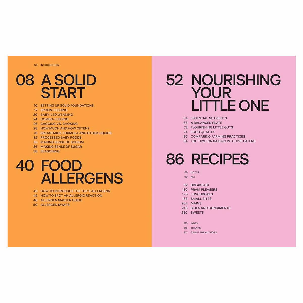 Baby Food Bible