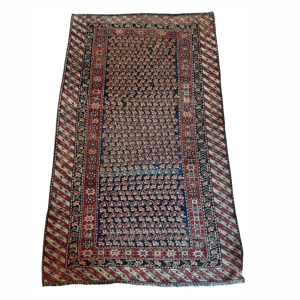 Shiryan Rug 3.3x5.3