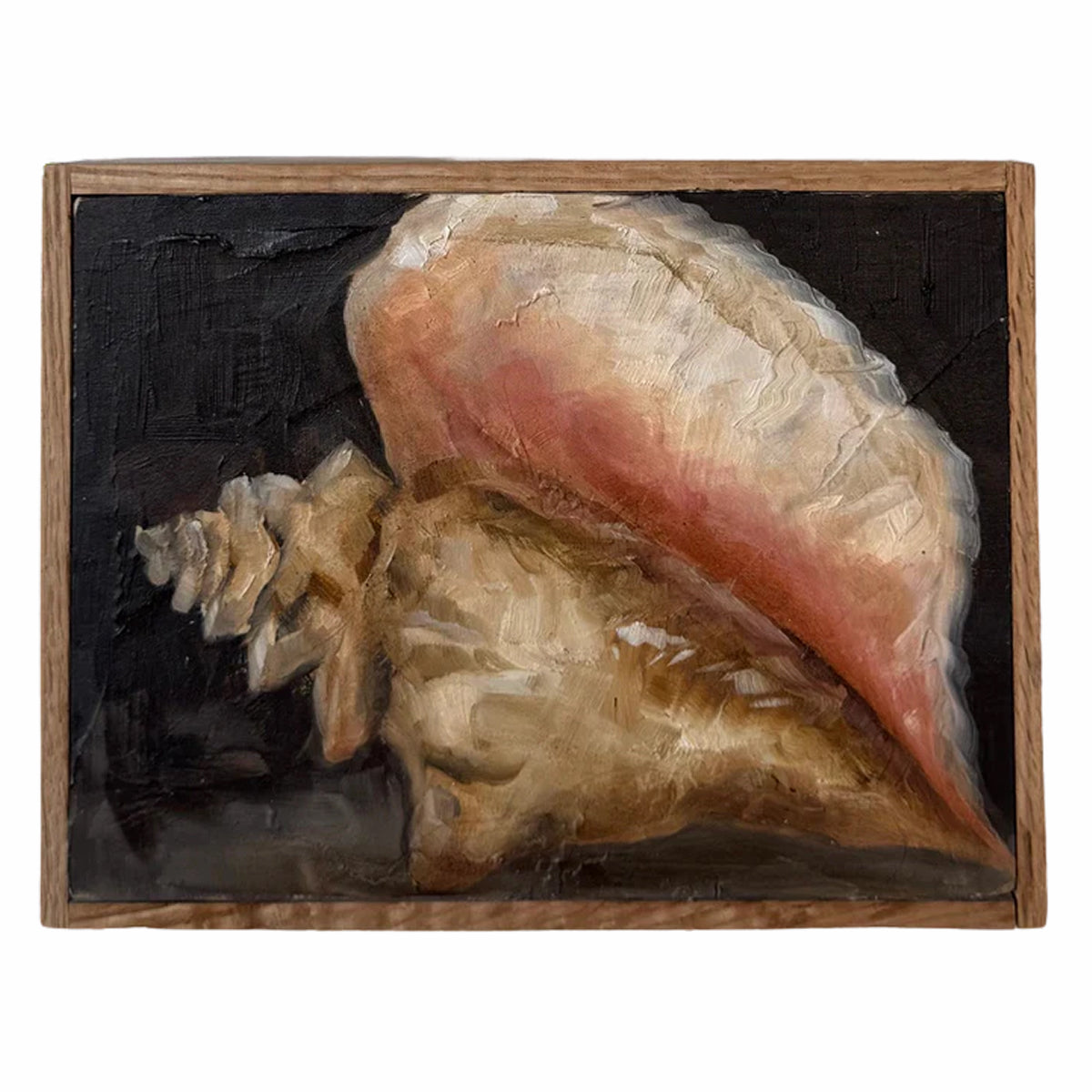 Alison Parsons, Shell 6.5” x 8.5” (3)