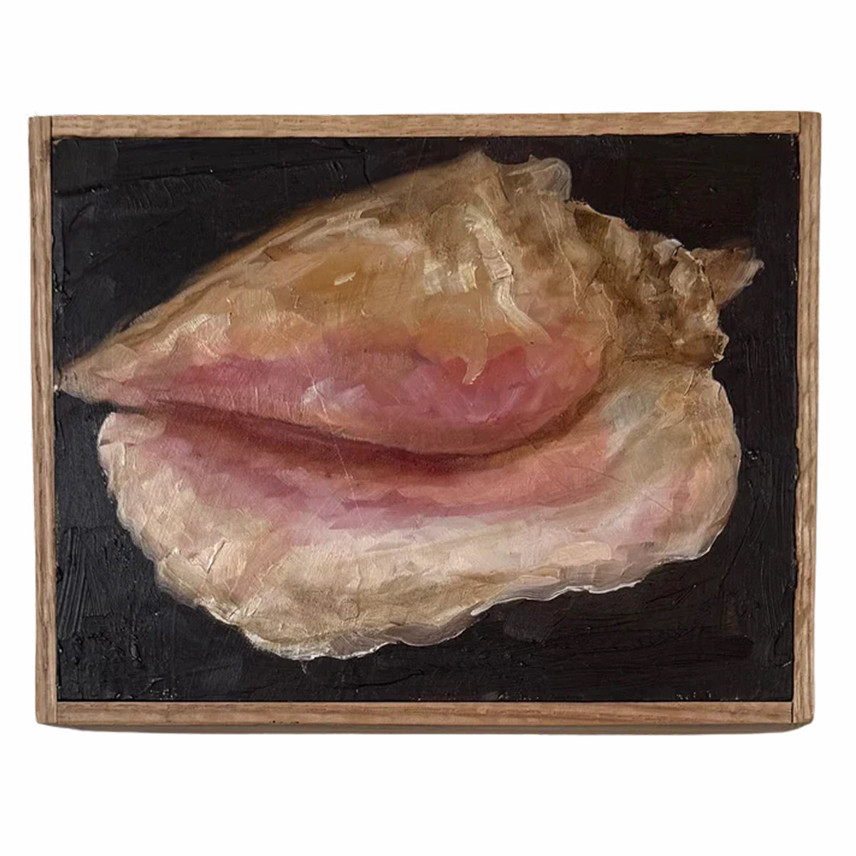 Alison Parsons, Shell 6.5” x 8.5” (2)