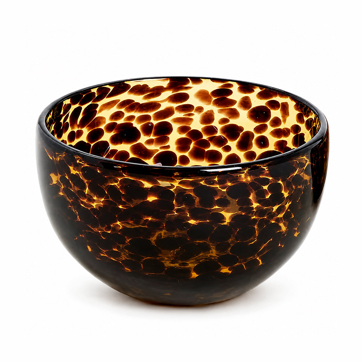 Tortoise Everything Bowl