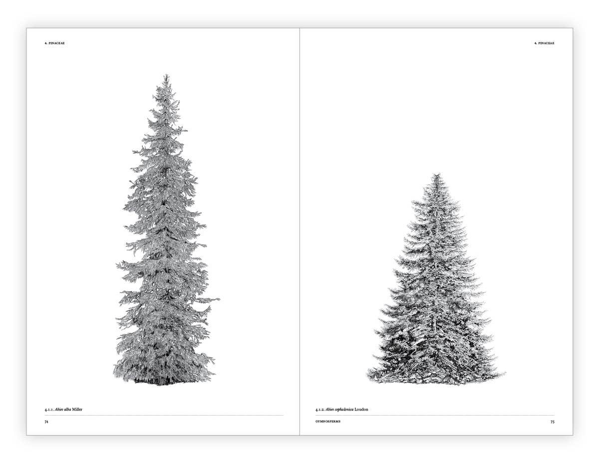 The Architecture of Trees